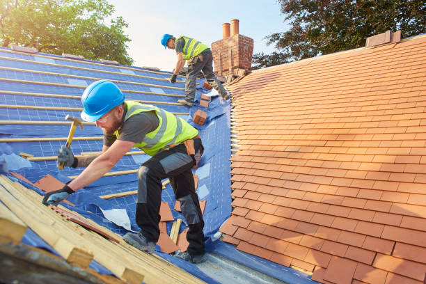 Best Roof Maintenance and Cleaning  in De Smet, SD